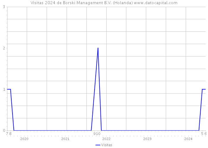 Visitas 2024 de Borski Management B.V. (Holanda) 