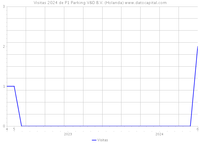 Visitas 2024 de P1 Parking V&D B.V. (Holanda) 