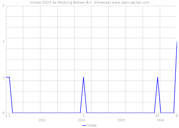 Visitas 2024 de Meiborg Beheer B.V. (Holanda) 