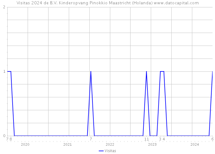 Visitas 2024 de B.V. Kinderopvang Pinokkio Maastricht (Holanda) 