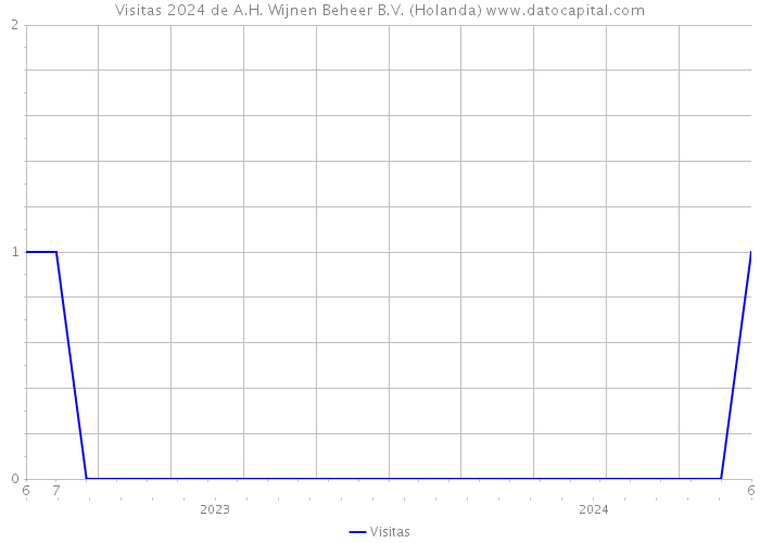 Visitas 2024 de A.H. Wijnen Beheer B.V. (Holanda) 