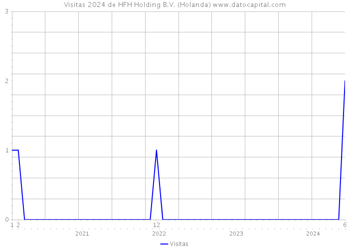 Visitas 2024 de HFH Holding B.V. (Holanda) 