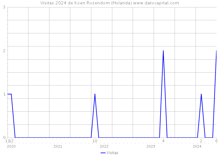 Visitas 2024 de Koen Rozendom (Holanda) 