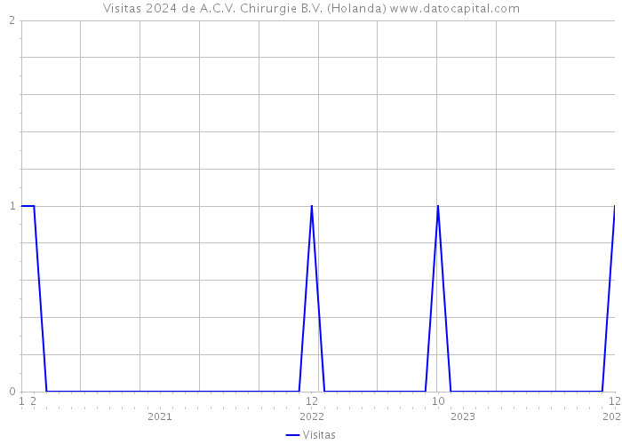 Visitas 2024 de A.C.V. Chirurgie B.V. (Holanda) 