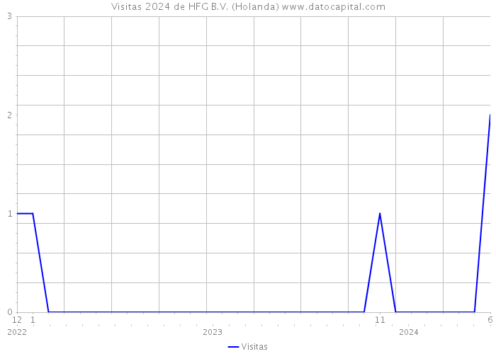 Visitas 2024 de HFG B.V. (Holanda) 