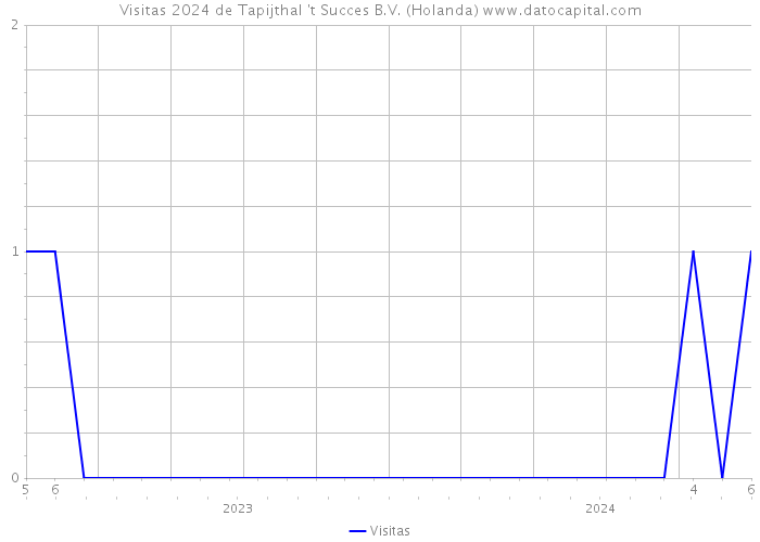 Visitas 2024 de Tapijthal 't Succes B.V. (Holanda) 