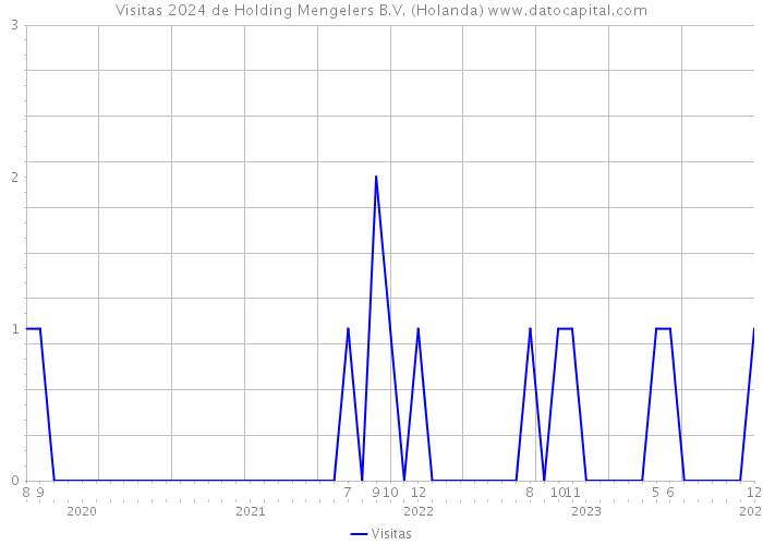 Visitas 2024 de Holding Mengelers B.V. (Holanda) 