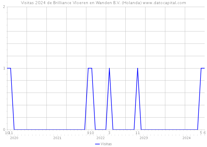 Visitas 2024 de Brilliance Vloeren en Wanden B.V. (Holanda) 