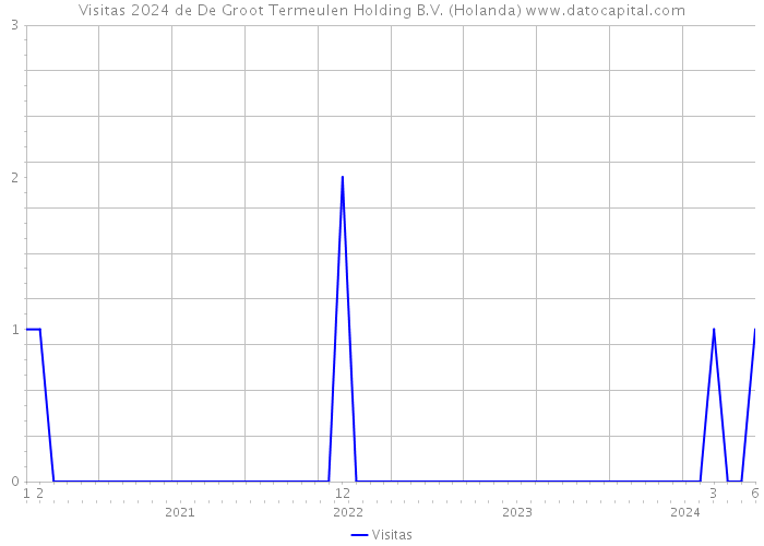 Visitas 2024 de De Groot Termeulen Holding B.V. (Holanda) 