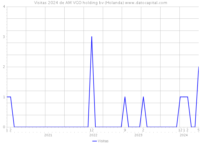 Visitas 2024 de AM VGO holding bv (Holanda) 