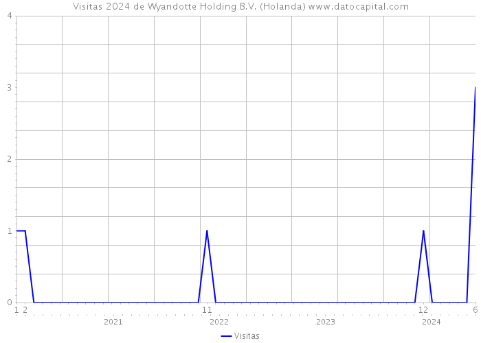 Visitas 2024 de Wyandotte Holding B.V. (Holanda) 