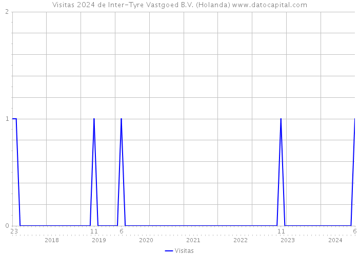 Visitas 2024 de Inter-Tyre Vastgoed B.V. (Holanda) 