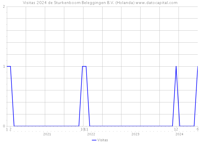 Visitas 2024 de Sturkenboom Beleggingen B.V. (Holanda) 
