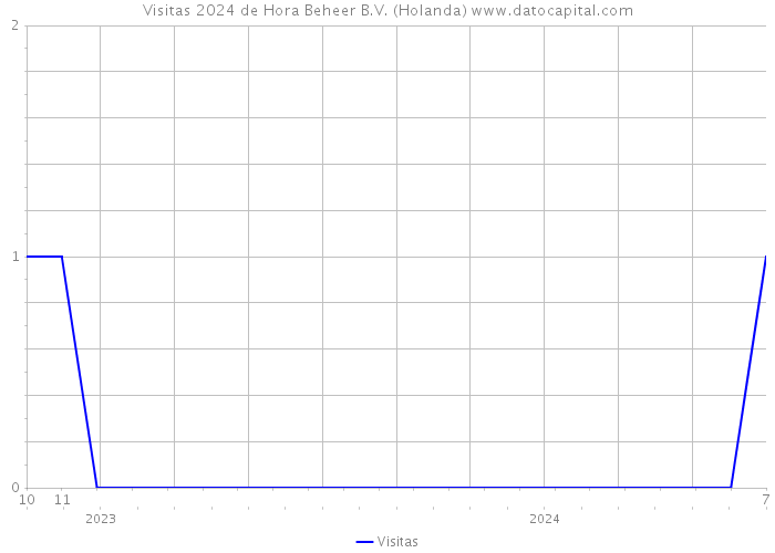 Visitas 2024 de Hora Beheer B.V. (Holanda) 