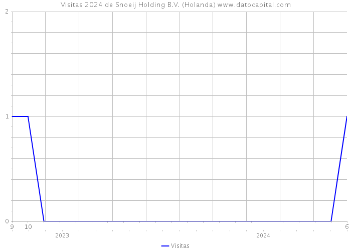 Visitas 2024 de Snoeij Holding B.V. (Holanda) 