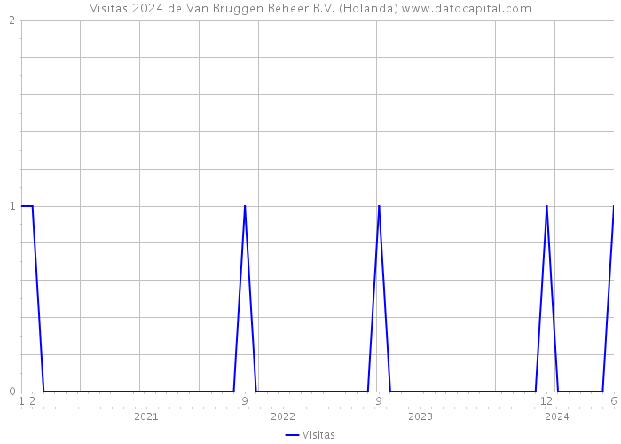 Visitas 2024 de Van Bruggen Beheer B.V. (Holanda) 