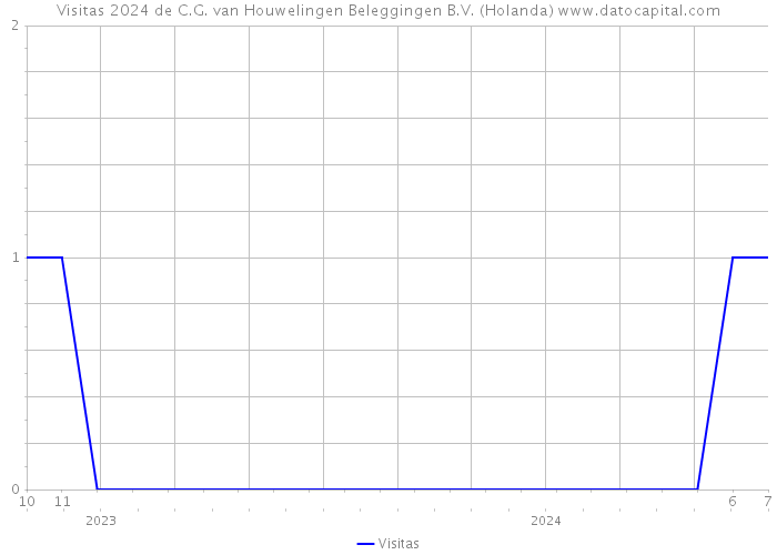 Visitas 2024 de C.G. van Houwelingen Beleggingen B.V. (Holanda) 