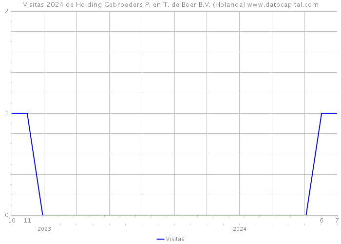 Visitas 2024 de Holding Gebroeders P. en T. de Boer B.V. (Holanda) 