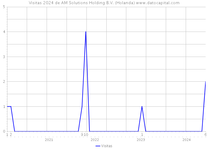 Visitas 2024 de AM Solutions Holding B.V. (Holanda) 