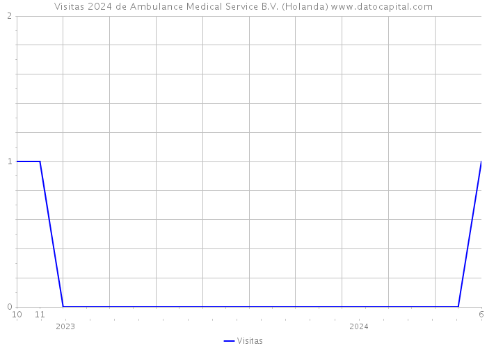Visitas 2024 de Ambulance Medical Service B.V. (Holanda) 