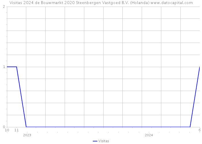 Visitas 2024 de Bouwmarkt 2020 Steenbergen Vastgoed B.V. (Holanda) 