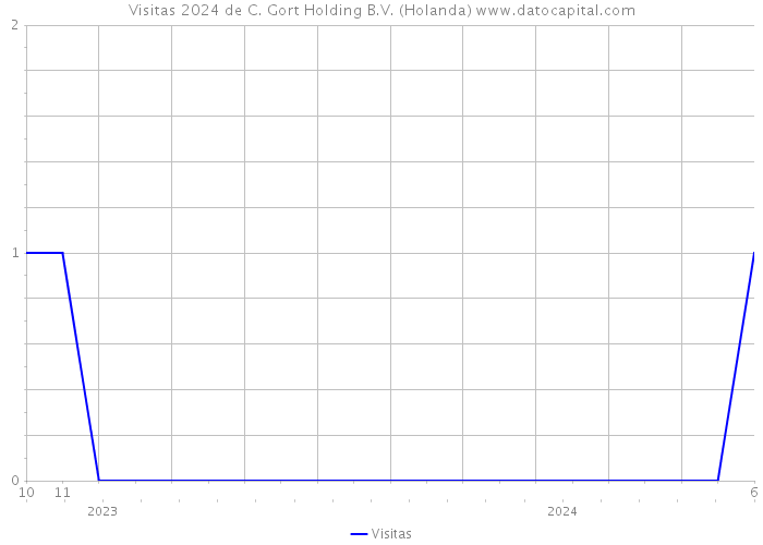 Visitas 2024 de C. Gort Holding B.V. (Holanda) 