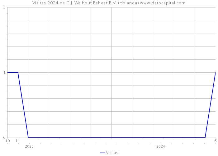 Visitas 2024 de C.J. Walhout Beheer B.V. (Holanda) 