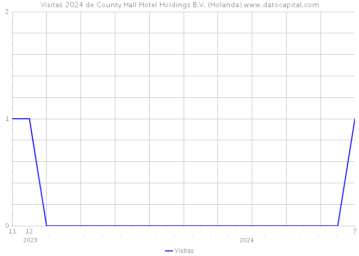 Visitas 2024 de County Hall Hotel Holdings B.V. (Holanda) 