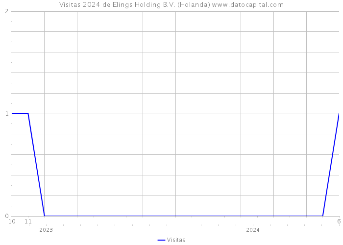 Visitas 2024 de Elings Holding B.V. (Holanda) 