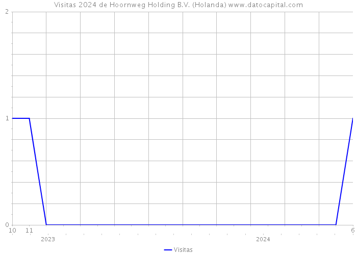 Visitas 2024 de Hoornweg Holding B.V. (Holanda) 
