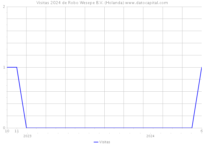 Visitas 2024 de Robo Wesepe B.V. (Holanda) 