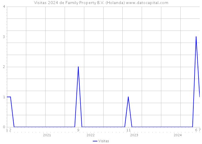 Visitas 2024 de Family Property B.V. (Holanda) 