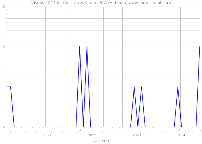 Visitas 2024 de Goesten & Opdam B.V. (Holanda) 