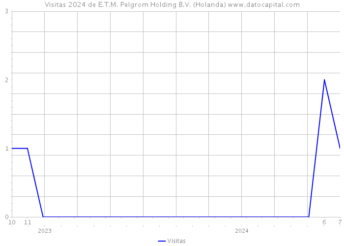 Visitas 2024 de E.T.M. Pelgrom Holding B.V. (Holanda) 