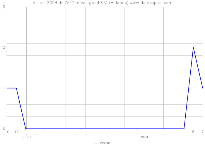 Visitas 2024 de ZeeTex Vastgoed B.V. (Holanda) 