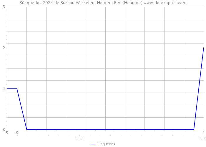 Búsquedas 2024 de Bureau Wesseling Holding B.V. (Holanda) 