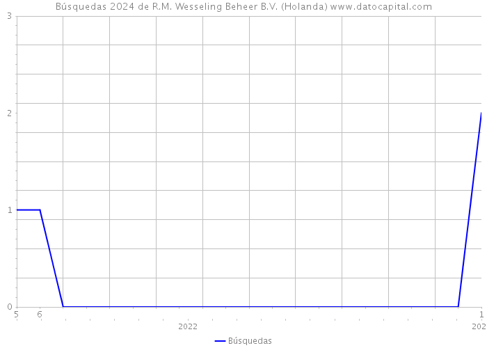 Búsquedas 2024 de R.M. Wesseling Beheer B.V. (Holanda) 