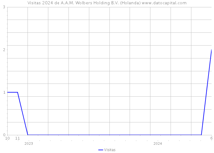 Visitas 2024 de A.A.M. Wolbers Holding B.V. (Holanda) 
