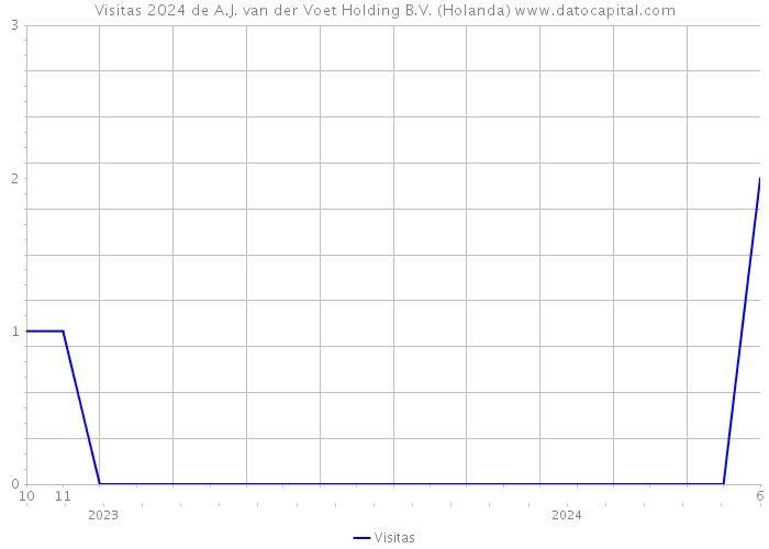 Visitas 2024 de A.J. van der Voet Holding B.V. (Holanda) 