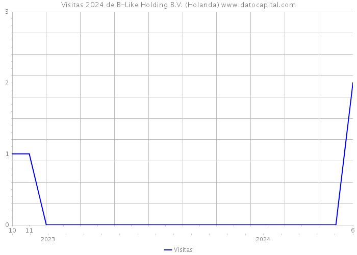 Visitas 2024 de B-Like Holding B.V. (Holanda) 