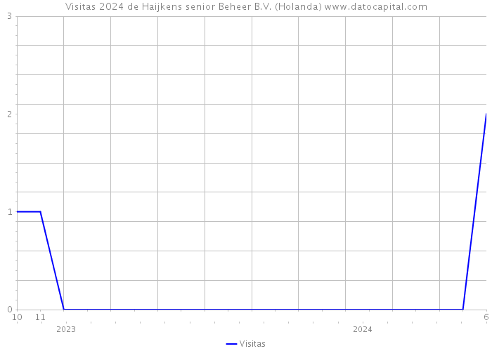 Visitas 2024 de Haijkens senior Beheer B.V. (Holanda) 