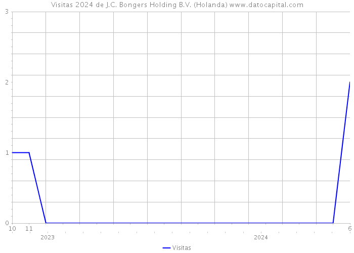 Visitas 2024 de J.C. Bongers Holding B.V. (Holanda) 