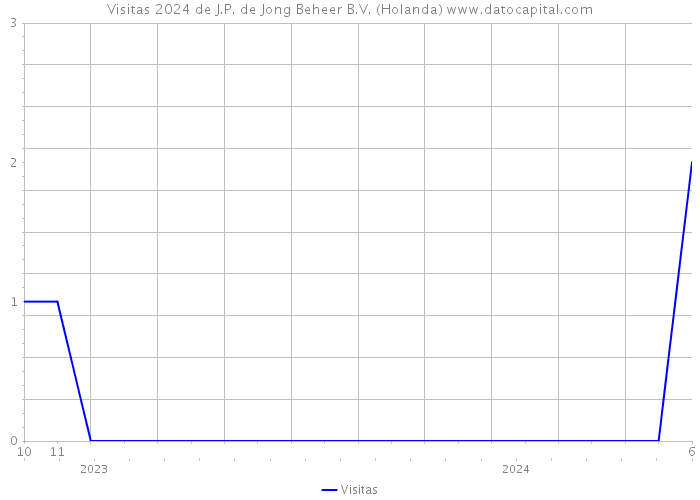 Visitas 2024 de J.P. de Jong Beheer B.V. (Holanda) 