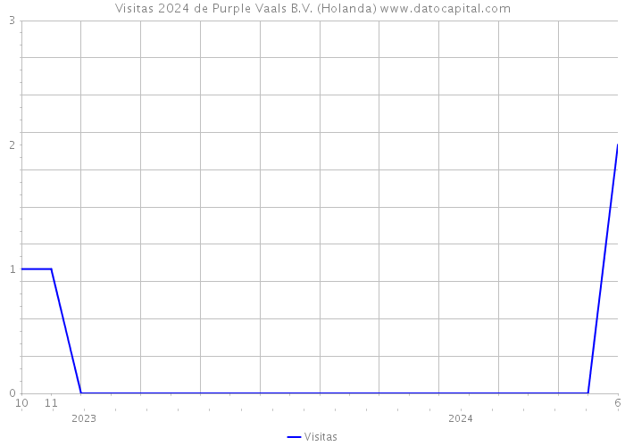 Visitas 2024 de Purple Vaals B.V. (Holanda) 