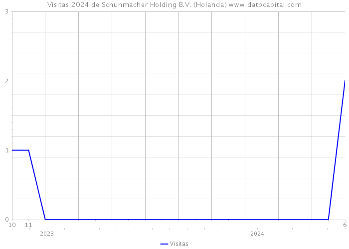 Visitas 2024 de Schuhmacher Holding B.V. (Holanda) 