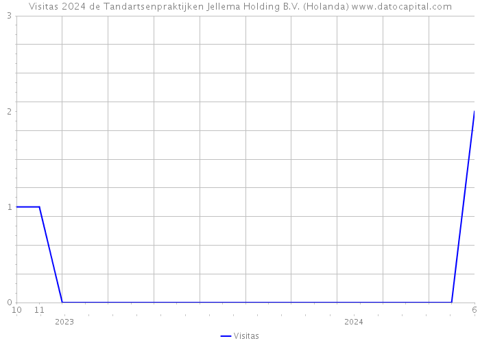 Visitas 2024 de Tandartsenpraktijken Jellema Holding B.V. (Holanda) 