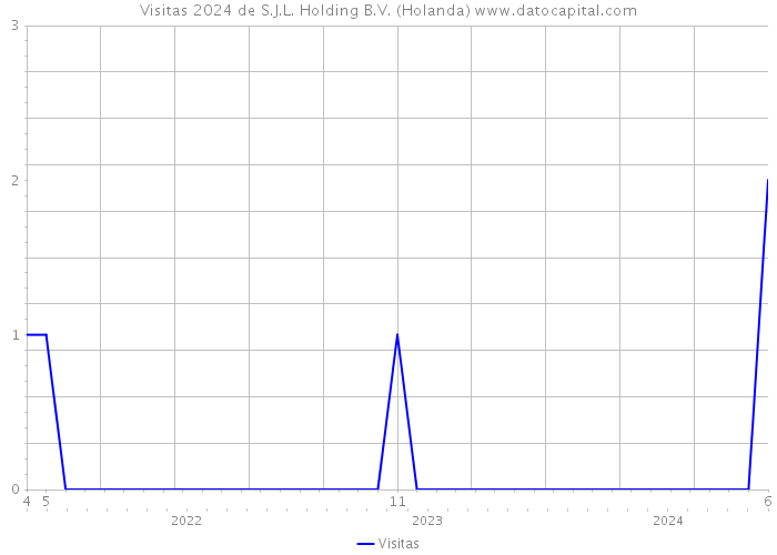 Visitas 2024 de S.J.L. Holding B.V. (Holanda) 