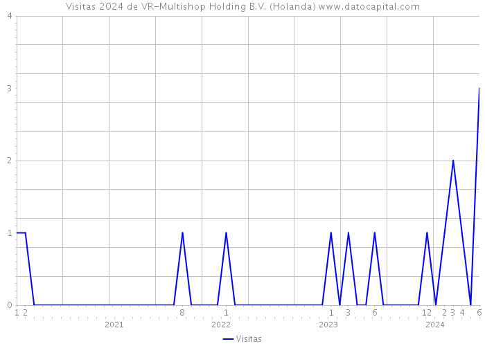 Visitas 2024 de VR-Multishop Holding B.V. (Holanda) 