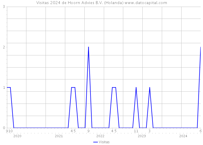 Visitas 2024 de Hoorn Advies B.V. (Holanda) 