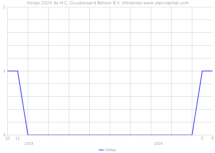 Visitas 2024 de H.C. Goudswaard Beheer B.V. (Holanda) 